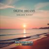 Download track Endless Sunset (Extended Mix)