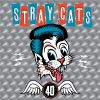 Download track Cat Fight (Over A Dog Like Me)