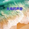 Download track 海洋白噪音 - 令人平静的海浪声，适合深度睡眠，冥想 (循环, 重复播放，无淡入淡 - 白噪音睡眠, 睡眠音樂, 学习，助眠，冥想环境音, 冥想，放松)