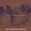 Download track Pulsating Solo Piano Jazz - Vibe For Cute Dogs