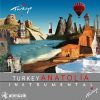 Download track Allı Turnam