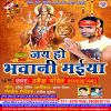 Download track Hamre Kalas Me