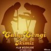 Download track Çalgı Çengi İkimiz - Çıldır Çıldır (Orijinal Film Müziği)