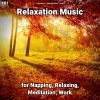 Download track Relaxing Music Pt. 92