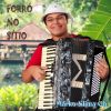 Download track Mensageiro Beija-Flor