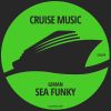 Download track Sea Funky (Original Mix)