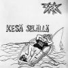 Download track Kesä Selällä