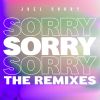 Download track Sorry (James Hype Remix)