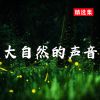 Download track 大自然的声音 (鸟语花香)