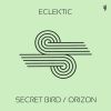 Download track Secret Bird