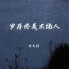 Download track 岁月终是不饶人 (伴奏)