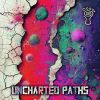 Download track Uncharted Paths