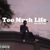 Download track Too Much