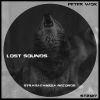 Download track Lost Sounds (Original Mix)