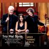Download track Trio In G Minor, Op. 63, J. 259 I. Allegro Moderato