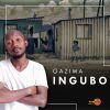 Download track INhliziyo