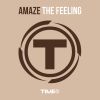 Download track The Feeling (Radio Mix)