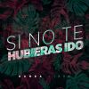 Download track Si No Te Hubieras Ido (En Vivo)