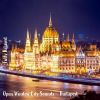 Download track Open Window City Sounds - Budapest, Pt. 1