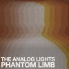 Download track Phantom Limb