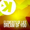 Download track Dream Of You (Radio Edit)