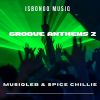 Download track Groove Anthem 3