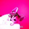 Download track Fashionable Solo Piano Jazz - Vibe For Relaxing Your Cat