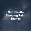 Download track Soft Gentle Sleeping Rain Sounds, Pt. 1