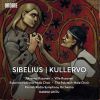 Download track 02. Kullervo, Op. 7- II. Kullervo's Youth