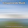 Download track Entspannende Musik Teil 4