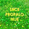 Download track Nije