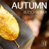 Download track Shades Of Autumn