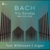 Download track Organ Sonata No. 4 In E Minor, BWV 528 