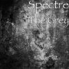 Download track The Grey