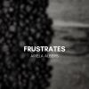 Download track Frustrates