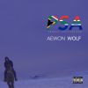 Download track Psa (Proudly South African)