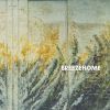 Download track Breezehome (Live)