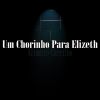 Download track Um Chorinho Para Elizeth