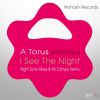 Download track I See The Night (Mr Campo Remix)