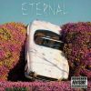 Download track Eternal (Slowed + Reverb)