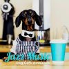 Download track Background Pet Music