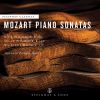 Download track Piano Sonata No. 10 In C Major, K. 330: I. Allegro Moderato