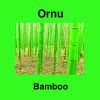 Download track Bamboo 4