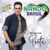 Download track Sou Nando Brasil