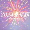 Download track 2024龙年到 (嘿！2024! 五谷丰登吉星照 你看新年多热闹)