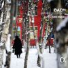 Download track 03 - Brandenburg Concerto No. 4 In G Major, BWV 1049 - III. Presto