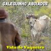 Download track Saudade Do Rancho Alegre