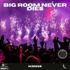 Download track Big Room Never Dies