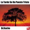 Download track La Tarde Se Ha Puesto Triste (Original Mix) 