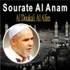 Download track Sourate Al Anam, Pt. 2 (Quran)